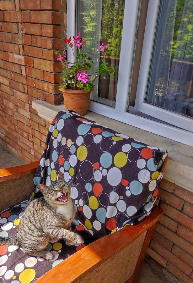 Friendly Guest House クタイシ エクステリア 写真